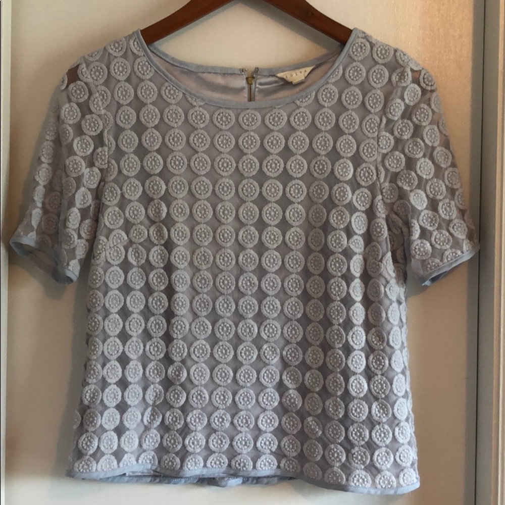 Light Blue Short Sleeve Embroidered Top